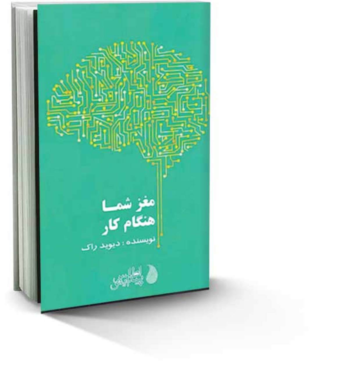مغز شما هنگام کار، هدایت مستقیم فرایند مغزی