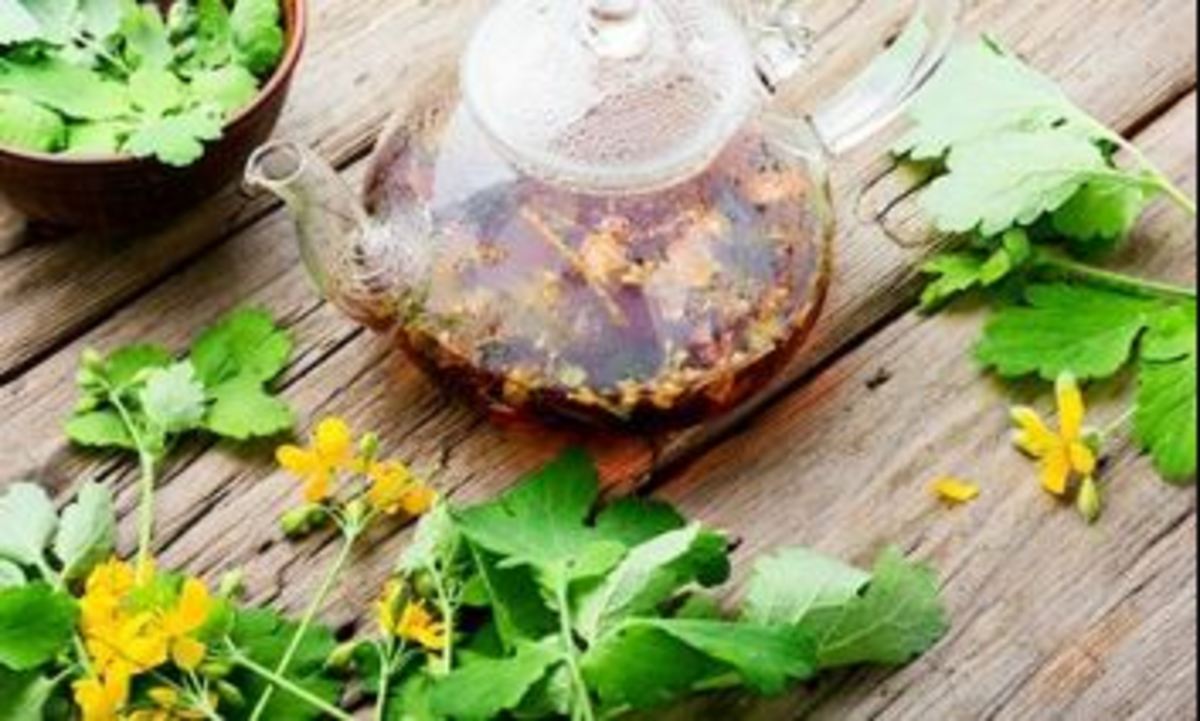 تنظیم هورمون‌ها با این گیاهان دارو‌یی معجزه آسا
