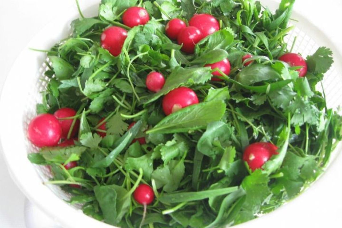 گل صد تومنی به شدت سمی و کشنده!