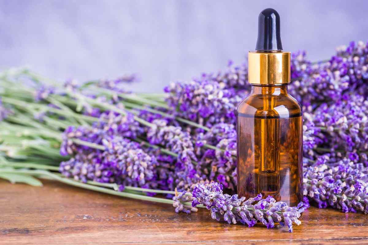 عصاره اسطوخودوس مناسب برای تهویه هوا و بهبود درد‌های میگرنی