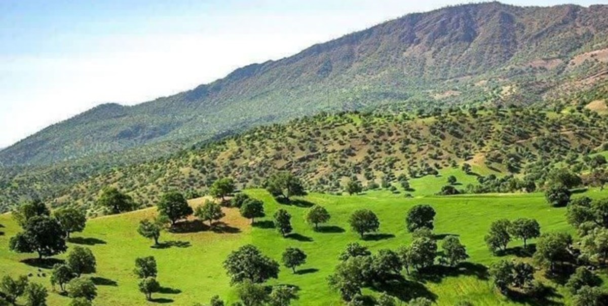 مشکل احداث سایت مسکن ملی در اراضی جدا افتاده بمو با بازدید رئیس جمهور حل شد