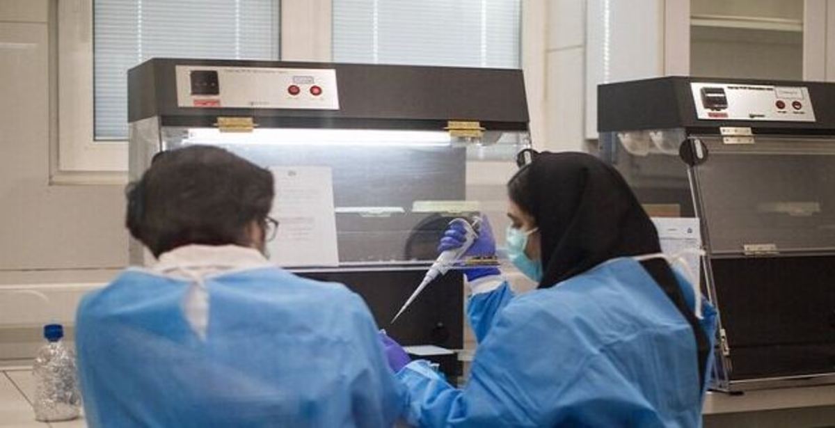 فراخوان مشارکت در طراحی و ساخت استنت‌های قلب با حمایت صندوق نوآوری