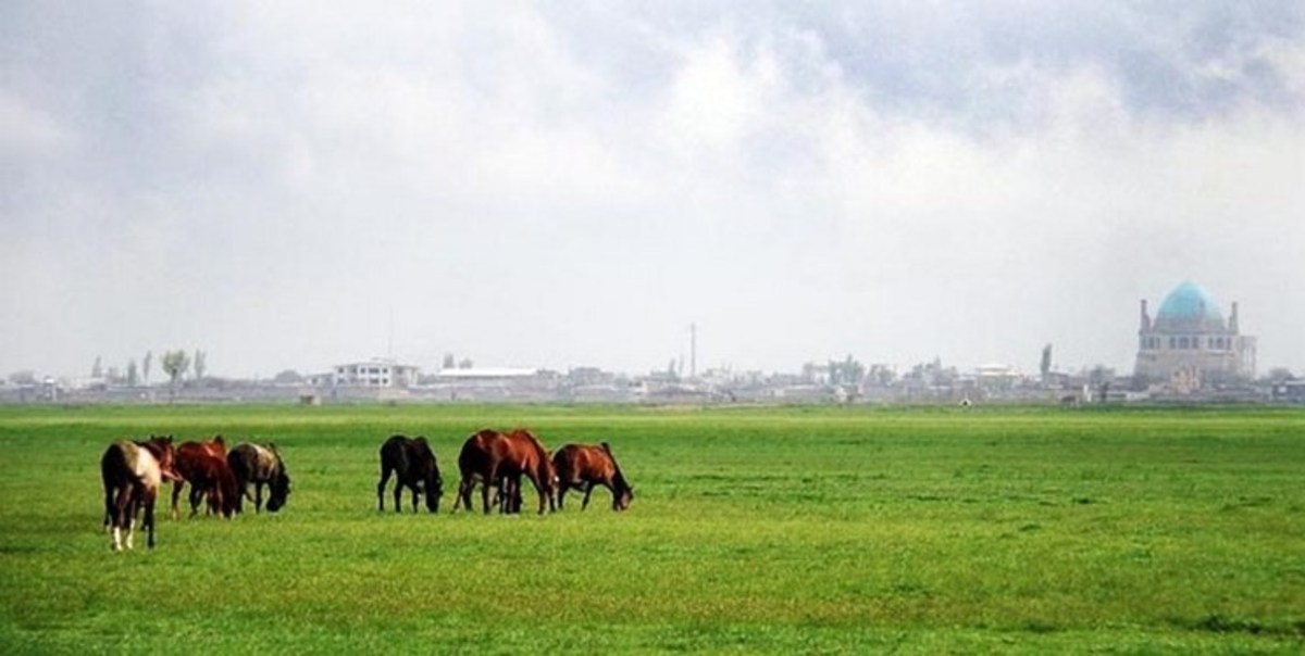 تخصیص ۱.۲ میلیارد تومان برای تثبیت حدود چمن گنبد سلطانیه