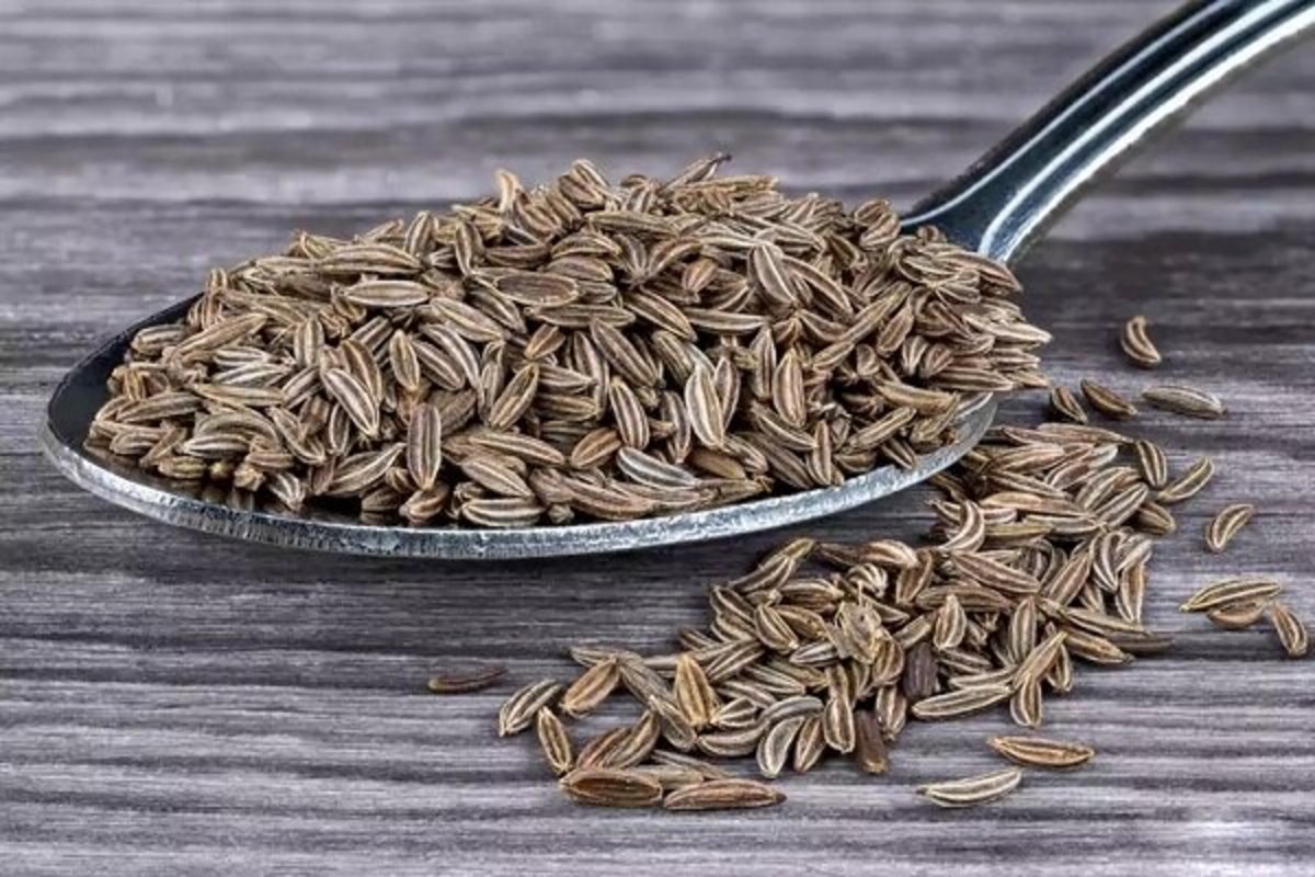 مقابله با سلول‌های سرطانی با ترکیبات آنتی‌اکسیدانی زیره