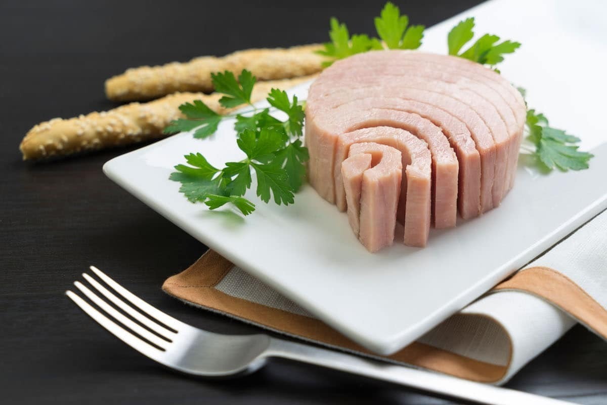 خوراک تن ماهی؛ یک پیشنهاد خوشمزه و فوری برای افراد شاغل