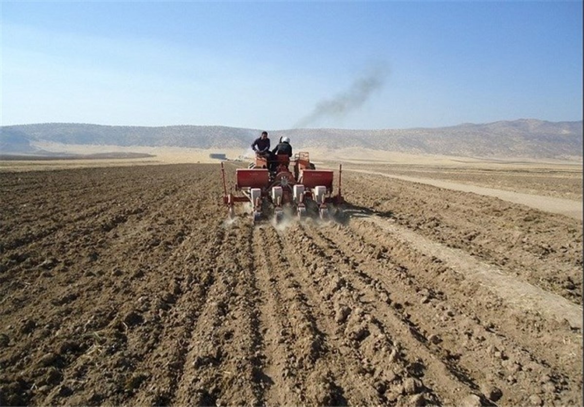 ۱۲۰ هزار هکتار از اراضی کشاورزی سیستان و بلوچستان زیر کشت پاییزه می‌رود