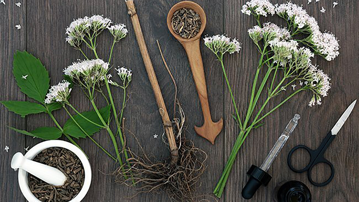 سنبل الطیب و ضرر آن برای کلیه