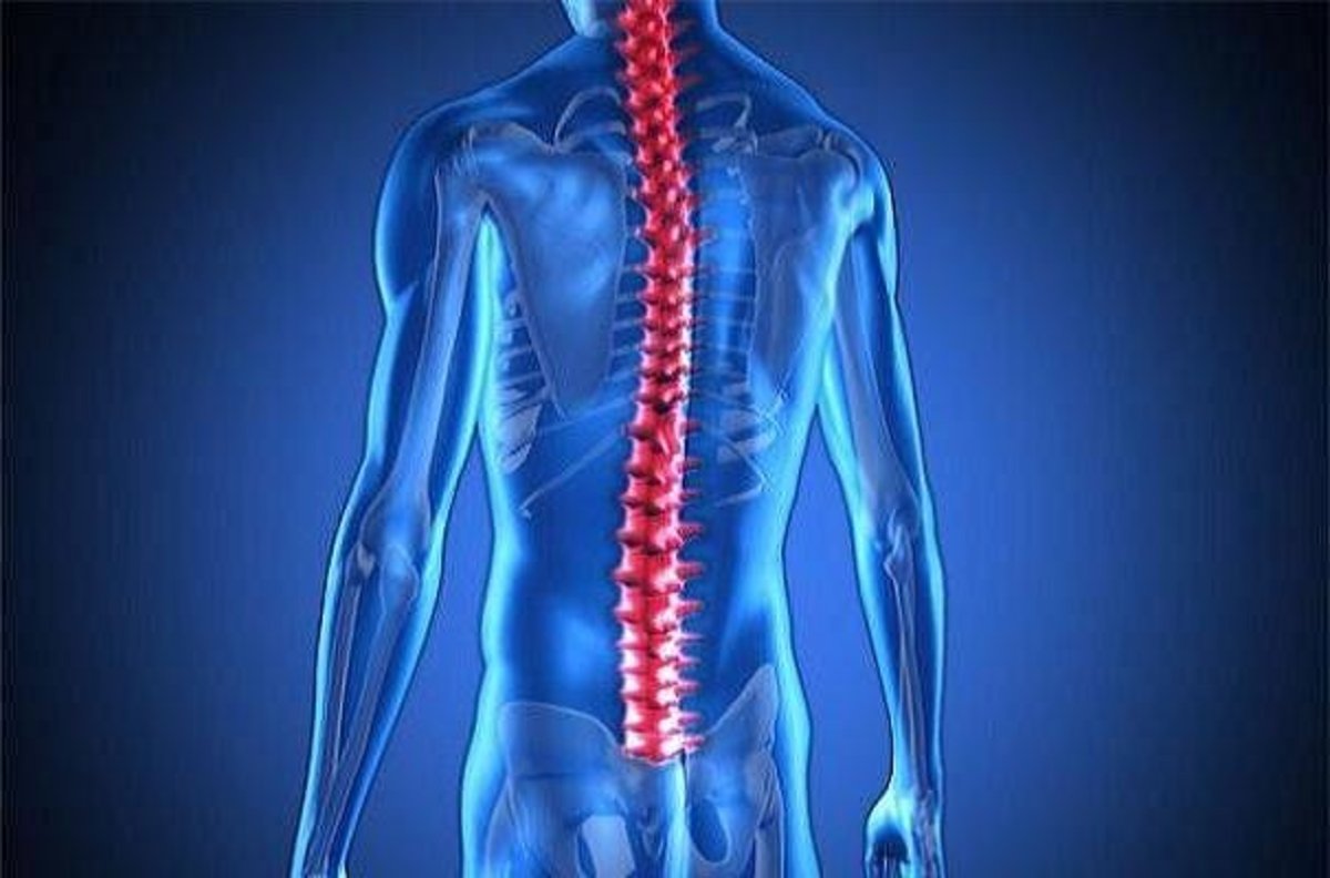نوعی ژن درمانی نوین اعصاب و توانایی راه رفتن را احیا میکند