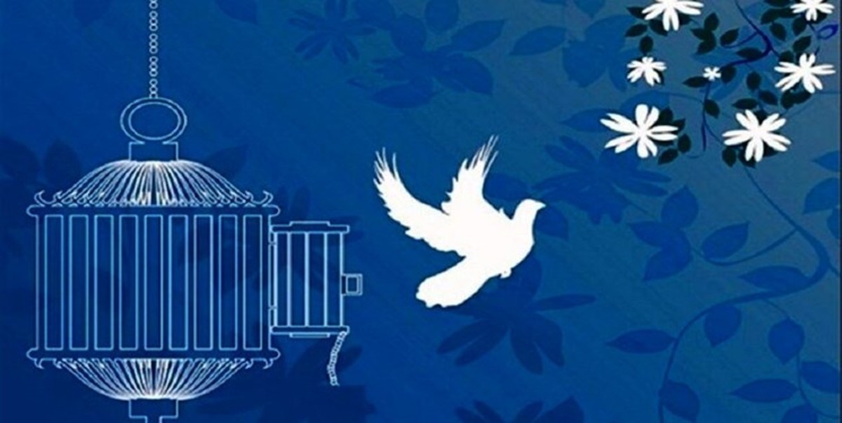 آزادی یک زندانی توسط آزاده سرافراز یزدی