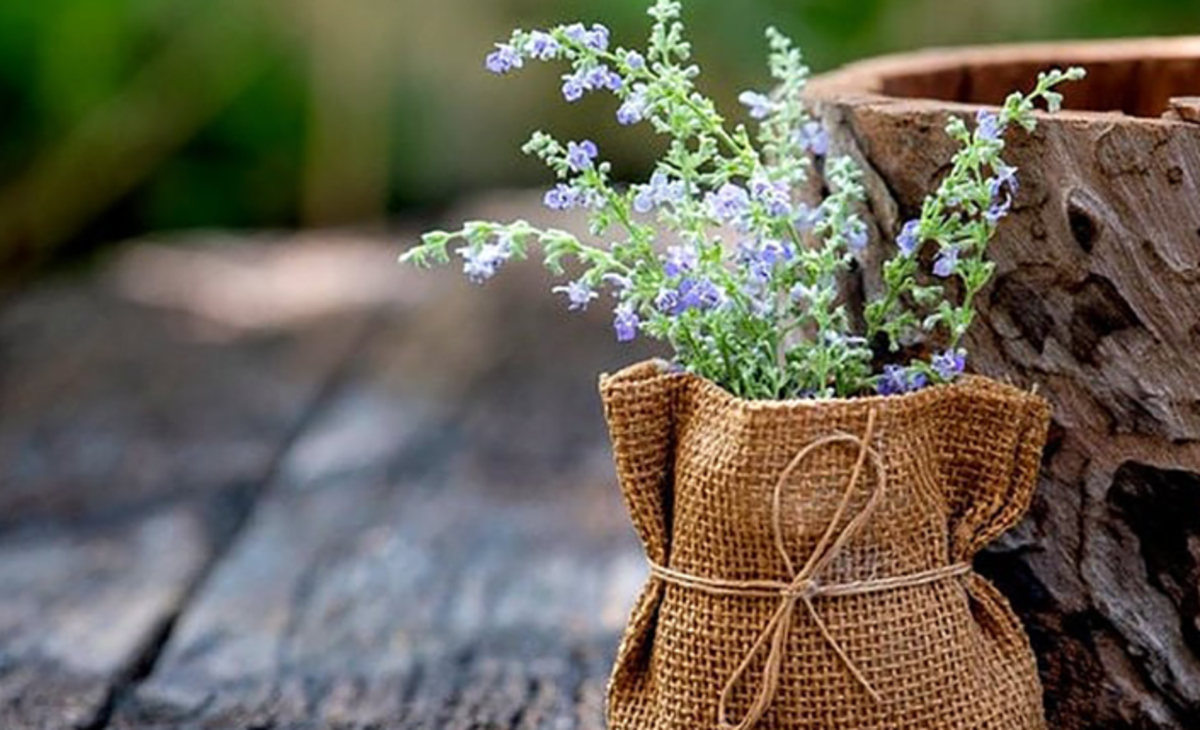 مناسب‌ترین رژیم برای دوران پریودی/خانم‌های حساس بخوانند