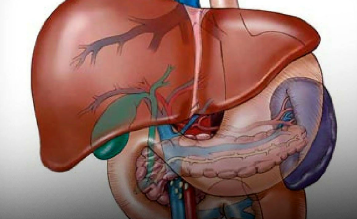 بیماری‌های بدنت را ریشه یابی کن/سریعترین روش تشخیص