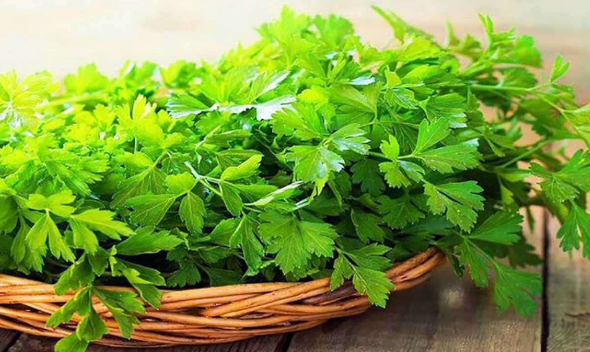 با این سبزی بدنت را در برار سرطان ایمن کن! /سرشار از مواد مغذی
