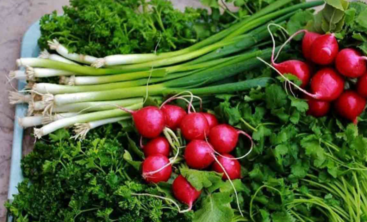برای تقویت سیستم ایمنی بدن از این سبزیجات غافل نشوید