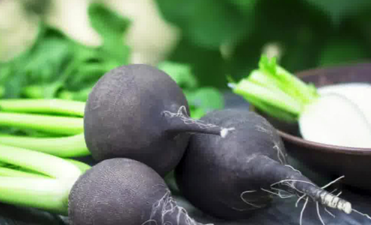 ساده‌ترین روش‌های خانگی برای از بین بردن سنگ کلیه