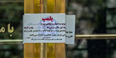 شرکت بازاریابی شبکه‌ای و هرمی در یزد پلمپ شد