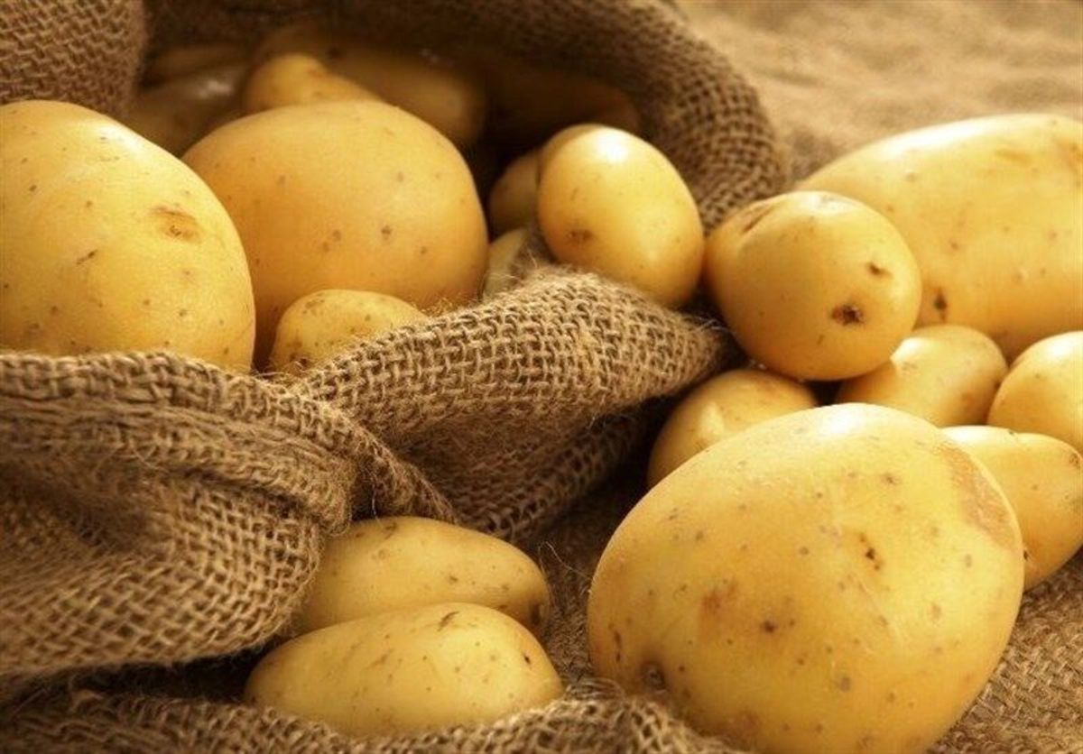 سیب زمینی مناسب برای تسکین گرفتگی عضلات