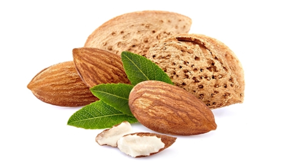 بررسی اثر دانه گرده بر اندازه میوه بادام