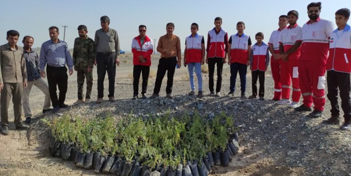 کاشت ۲۵۰۰ اصله نهال در شهرستان قلعه‌گنج