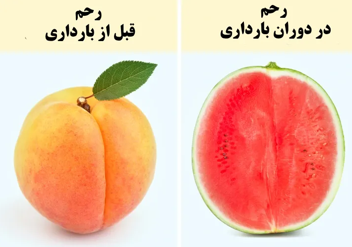 بارداری و بلا‌های وحشتناکی که بر سر مادر می‌آورد