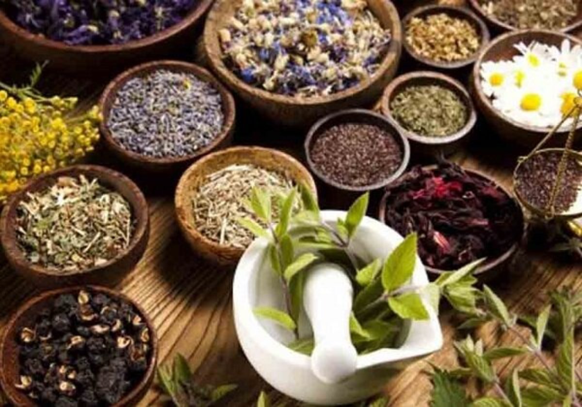 برخی گیاهان دارویی در دراز مدت عوارض دارند!