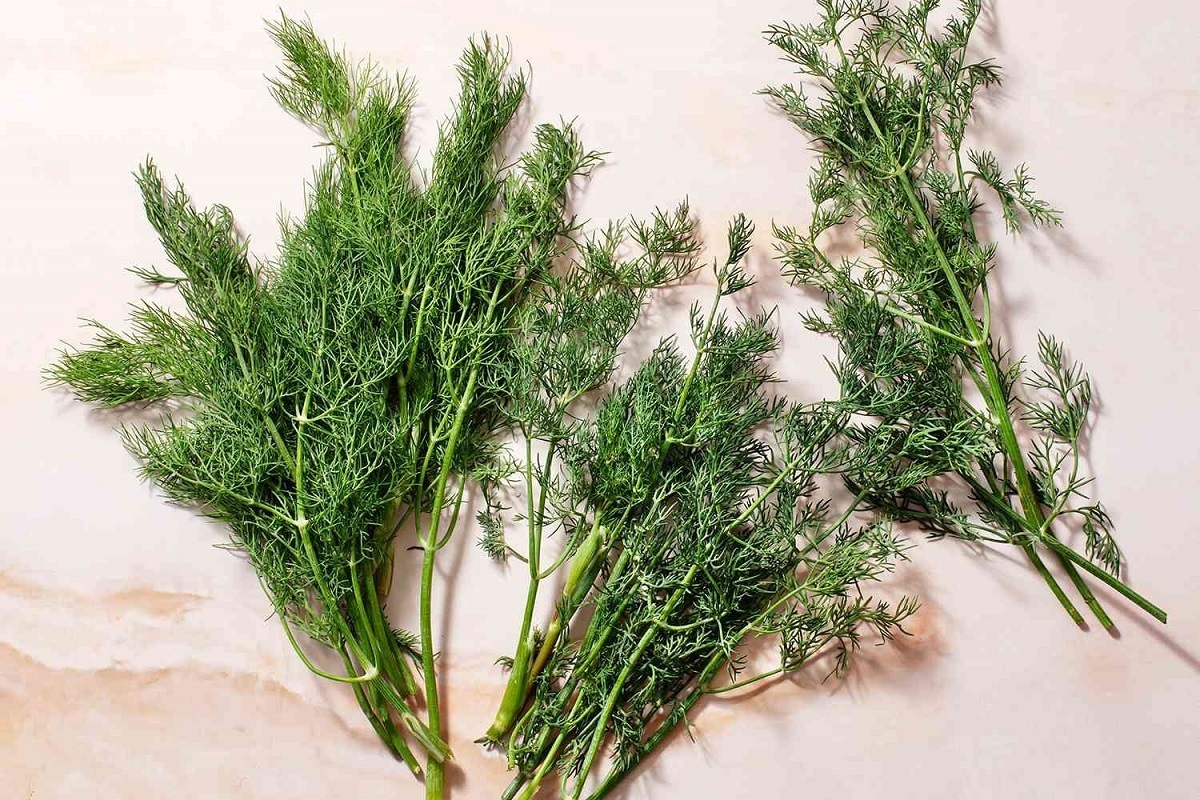 چگونه در منزل شوید خشک تهیه کنیم؟