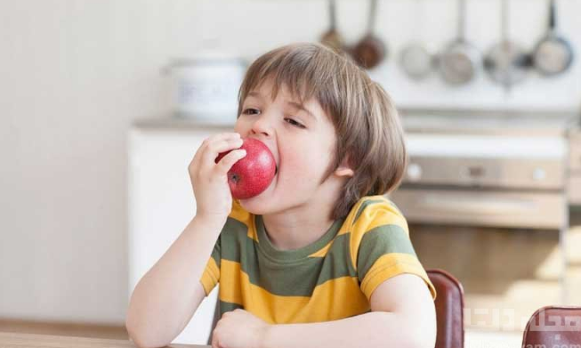 اهمیت ویژه سیب در برنامه غذایی کودکان