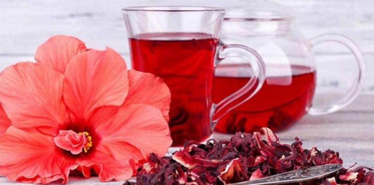 کاهش چین وچروک و رفع آکنه با گیاه جادویی هیبیسکوس
