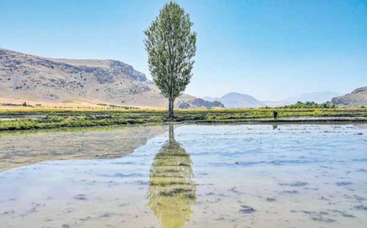 نجات دشت‌های بحرانی با نسخه بازار آب