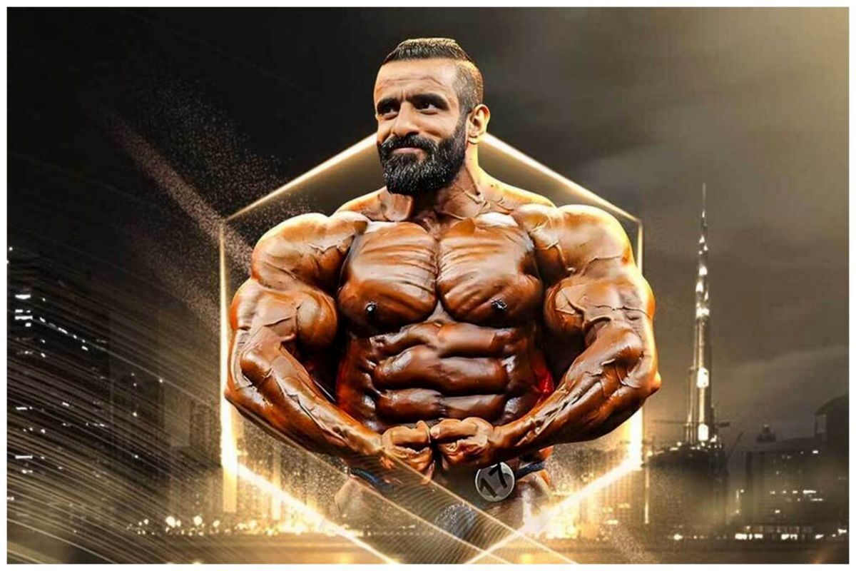 گزگ زخمی باز می‌گردد!