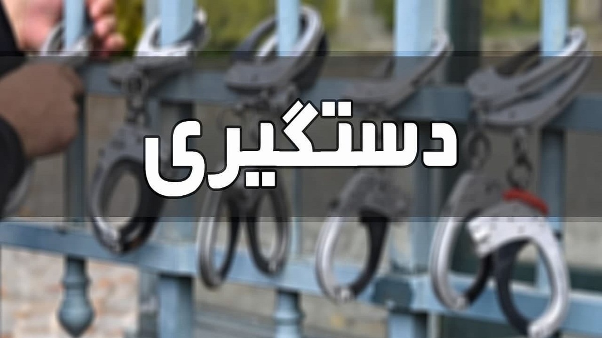 اجرای طرح مبارزه با سارقان و مالخران در مراغه