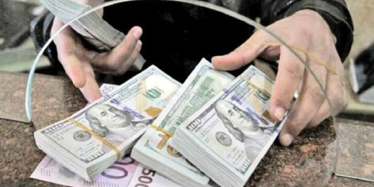 تدوین بودجه ارزی برای نخستین بار در کشور