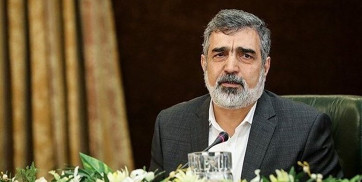 ایران در بسیاری از شاخه‌های انرژی اتمی جزو کشور‌های برتر دنیا است