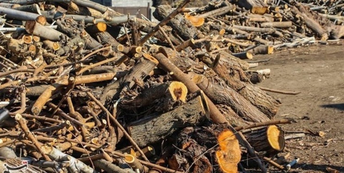 دستگیری قاچاقچی چوب جنگلی در شهرستان نمین