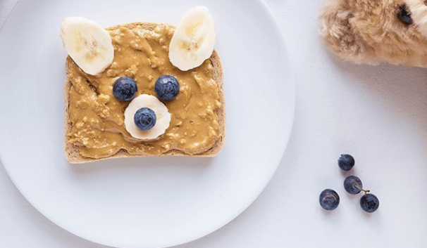 ۴ ایده خوشمزه برای لقمه صبحانه دانش آموزان