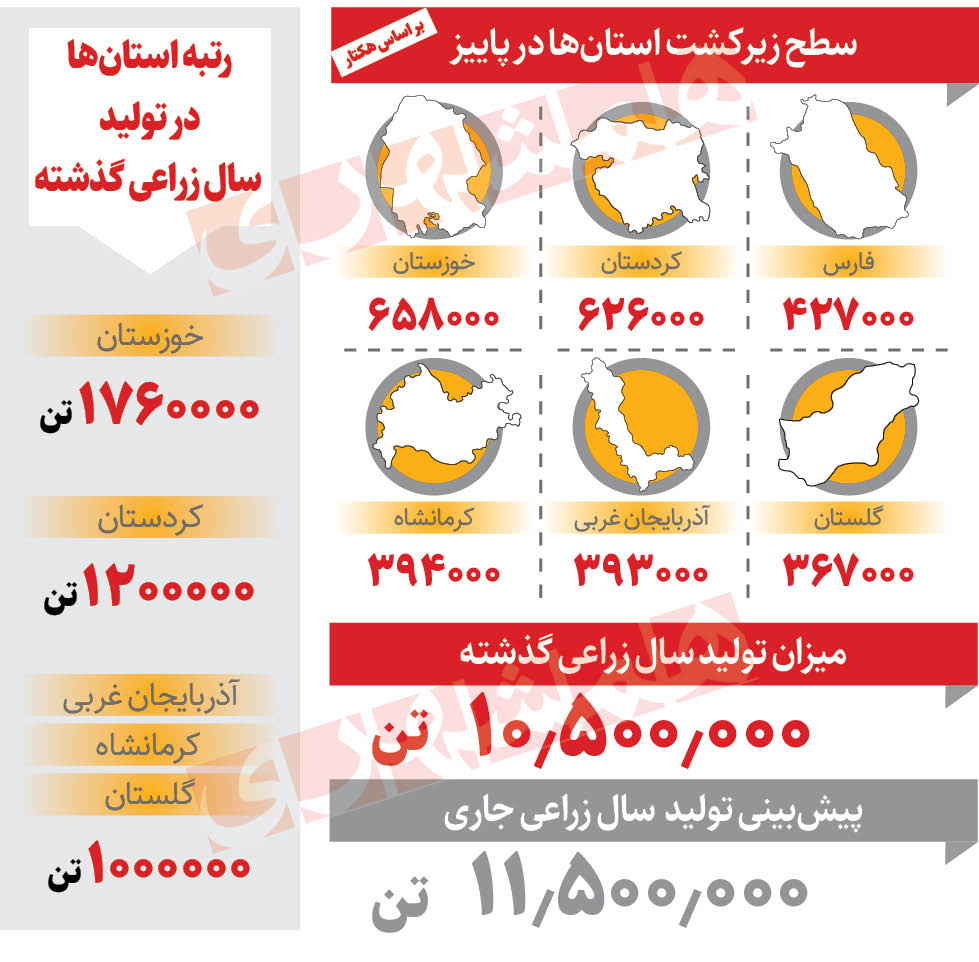 پیش‌بینی افزایش ۹‌درصدی گندم پاییزه