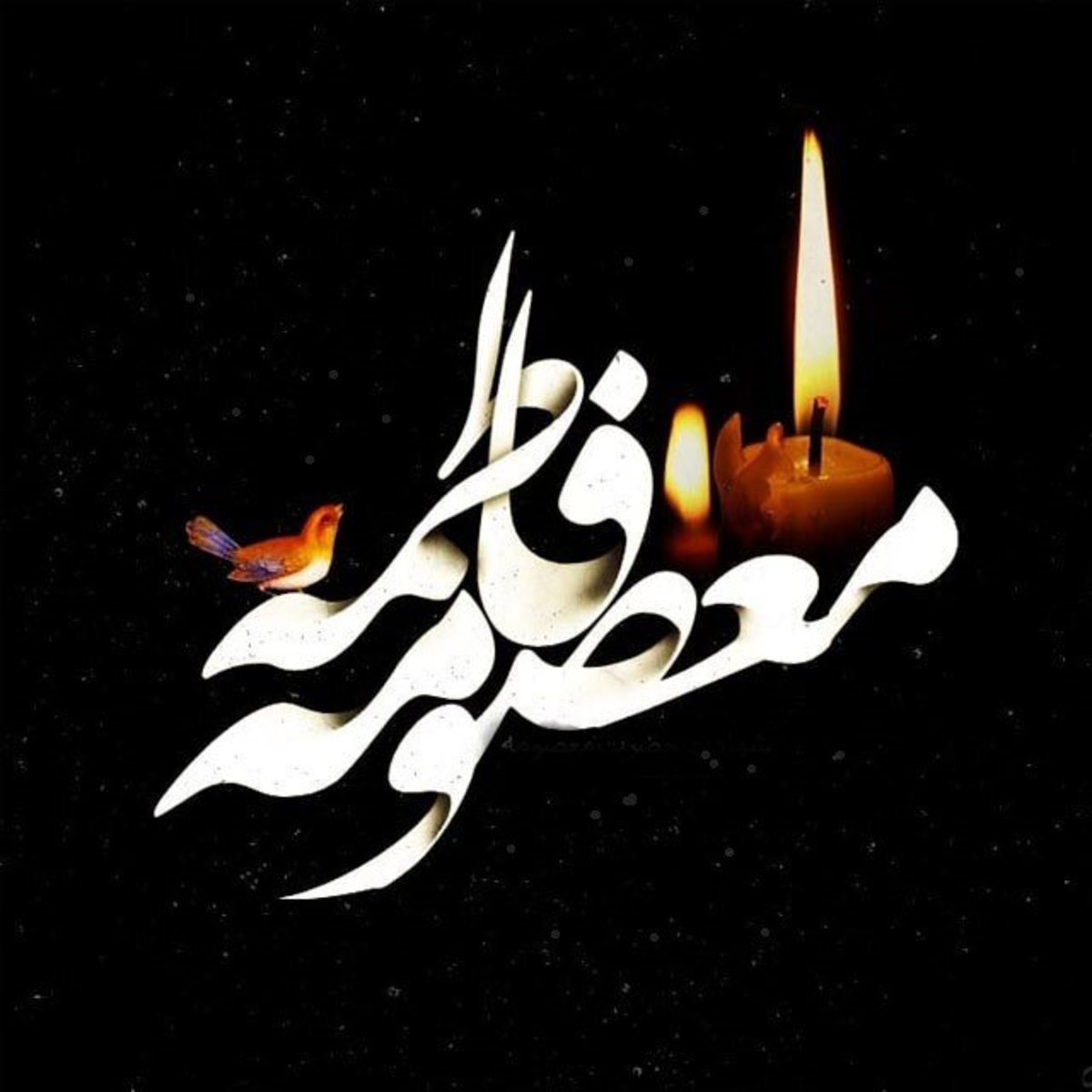 بانویی که با دفاع از ولایت و امامت جریان تاریخ را عوض کرد
