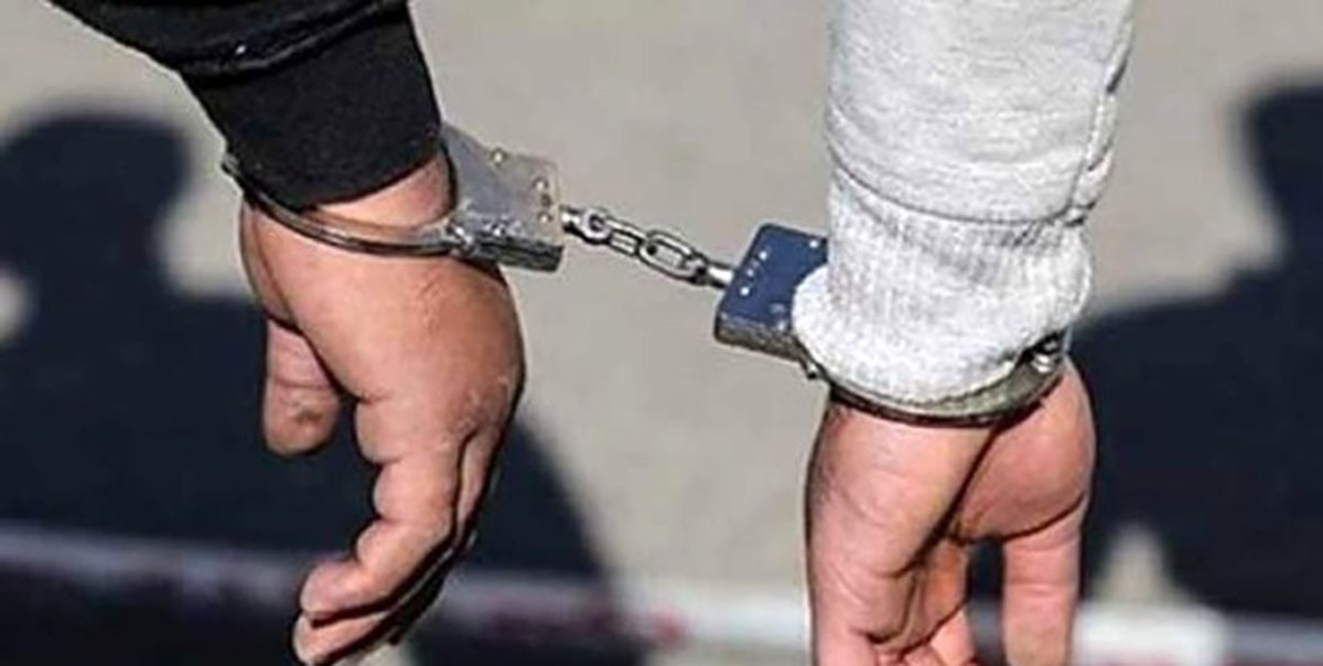 ۴۵ سارق توسط پلیس دزفول دستگیر شدند