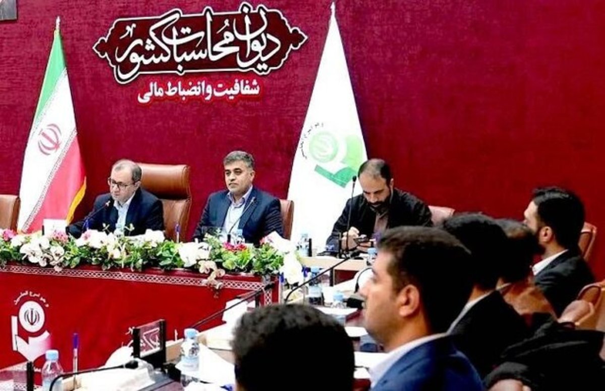 رسیدگی به عملکرد مالی شرکت‌های دولتی و شبه دولتی