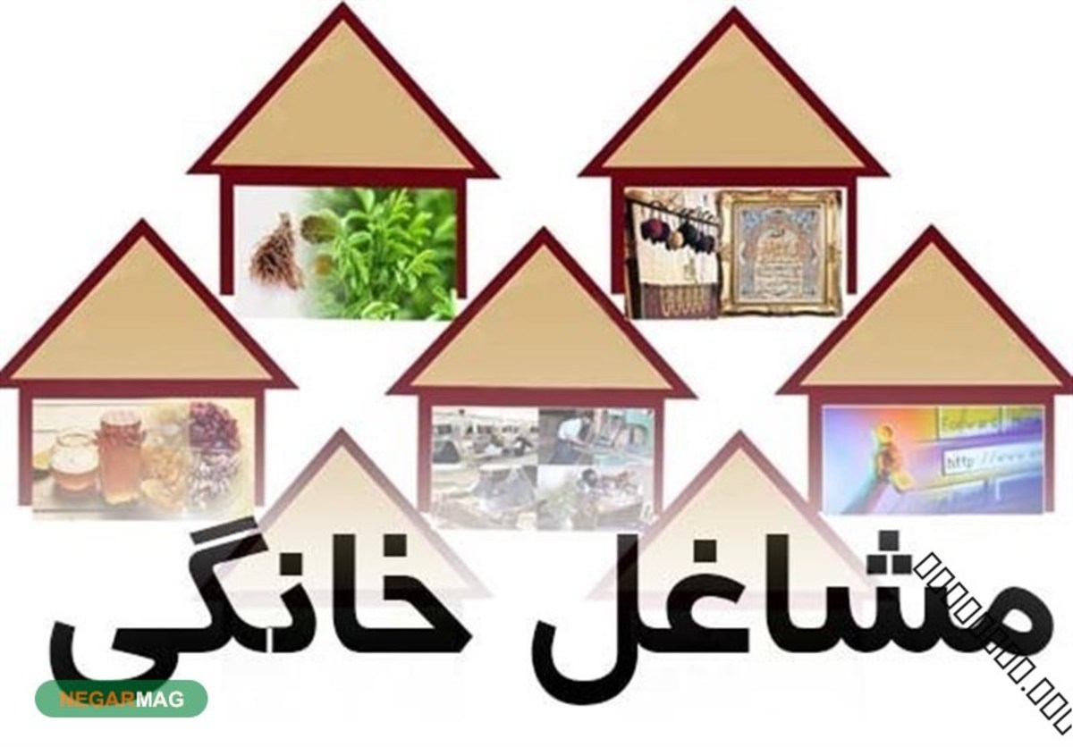 ۱۱۶میلیارد تومان تسهیلات مشاغل خانگی به کردستان اختصاص یافت
