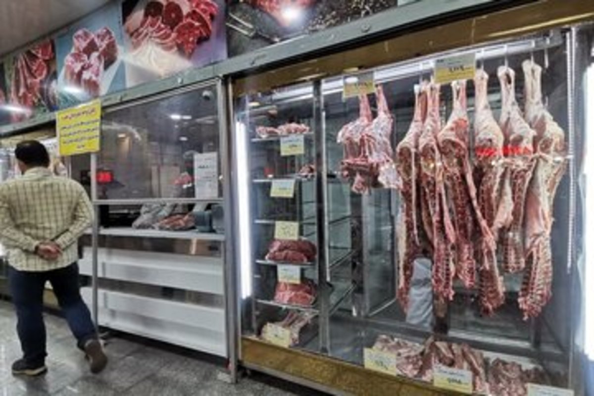 با استمرار واردات گوشت تولید در معرض آسیب قرار می‌گیرد