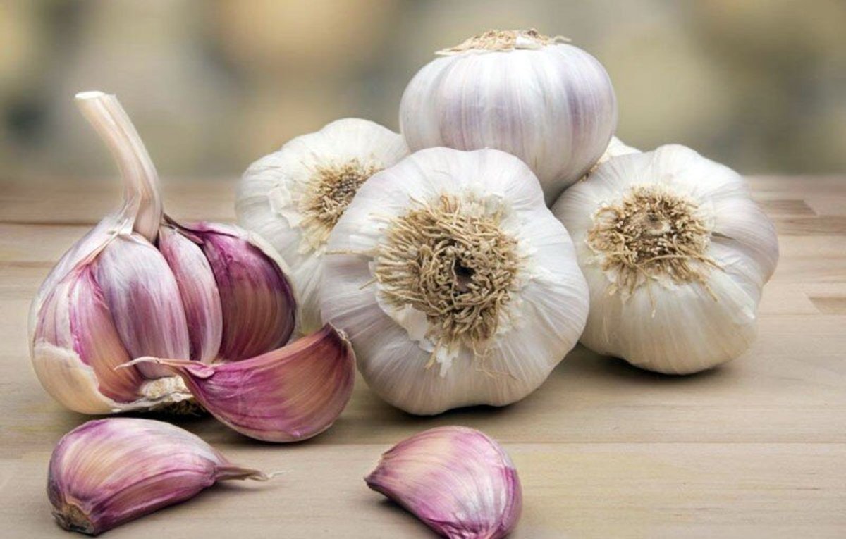 فواید خوردن سیر خام