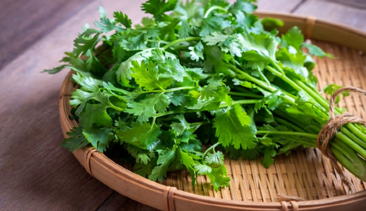 برای چربی سوزی سریعتر از این خوراکی‌های معجزه آسا استفاده کنید