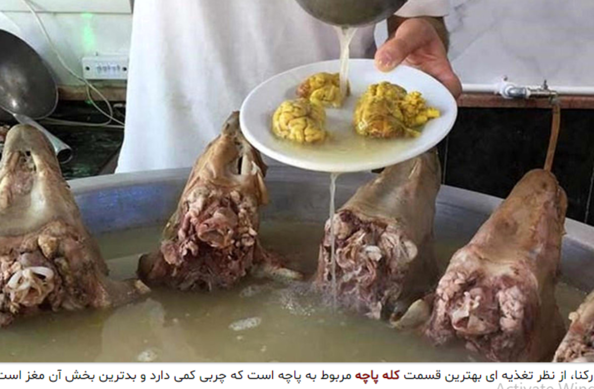 مزایا و معایب خوردن کله پاچه را بدانید!