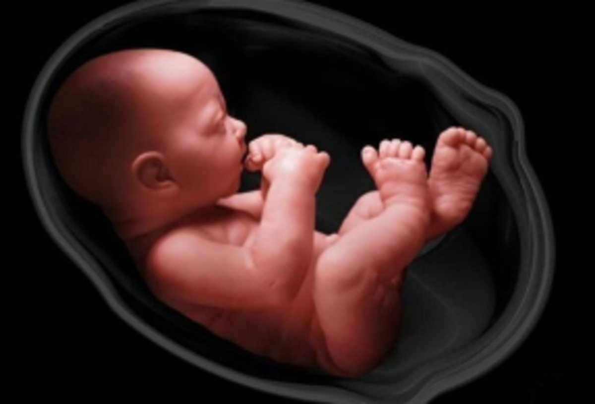 اهمیت غربالگری‌های بیماری‌های ژنتیکی در بارداری