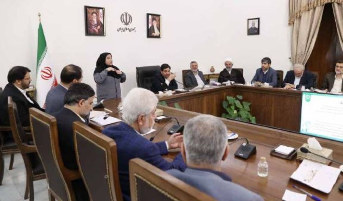 دولت سیزدهم درصدد تغییر شرایط برای افراد دارای معلولیت است