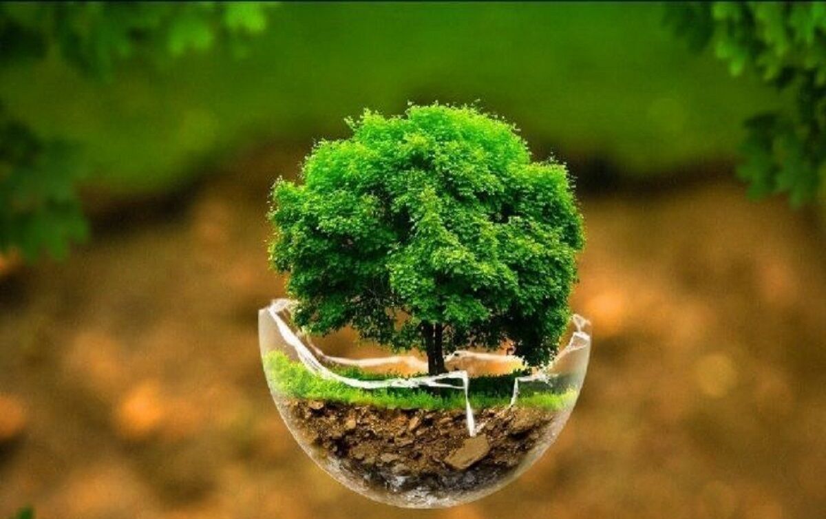 اصول عدالت زیست‌محیطی را باید منطقه‌ای دید