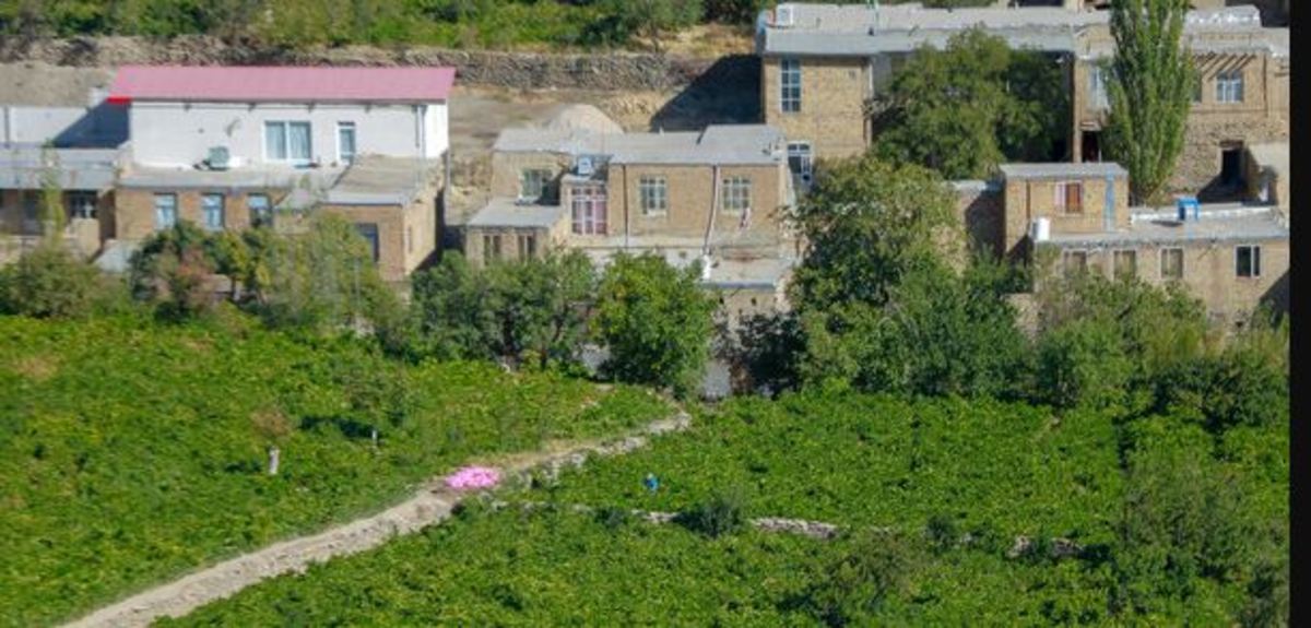 طرح توسعه اقتصادی روستا‌های بالای ۲۰ خانوار سیستان و بلوچستان اجرایی می‌شود