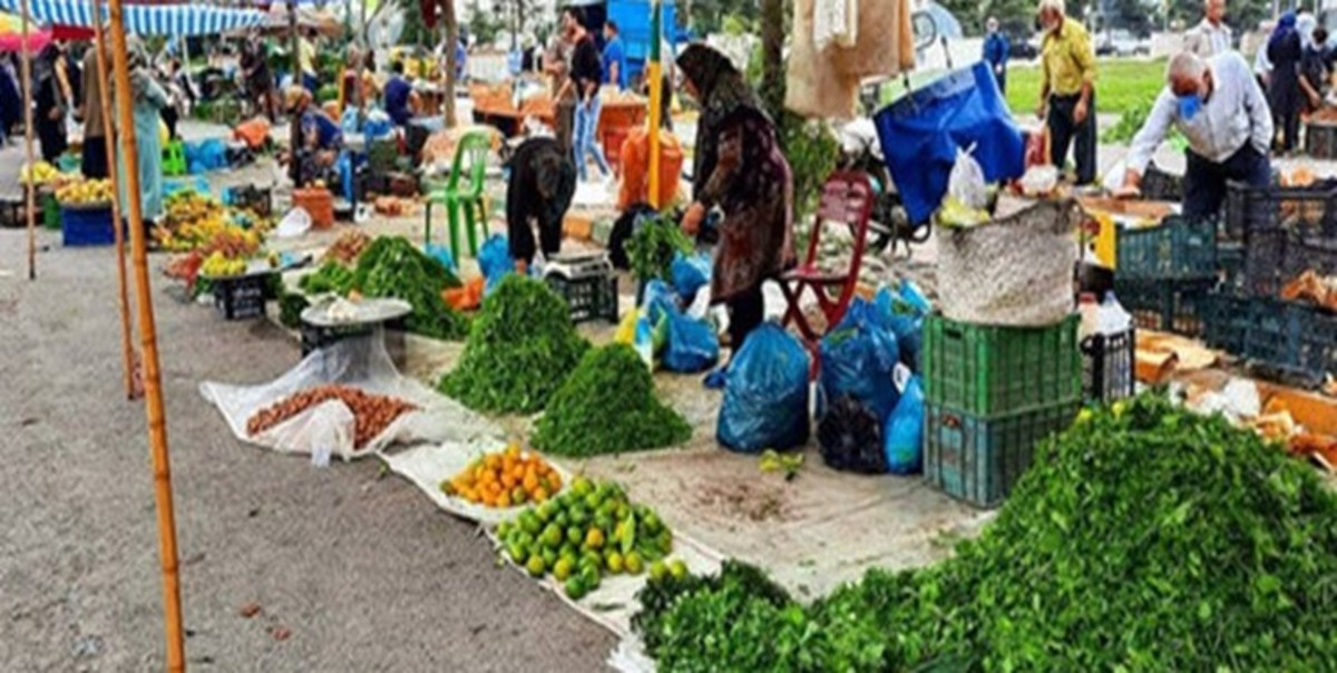 بازارچه محصولات کشاورزی در ایلام برپا می‌شود