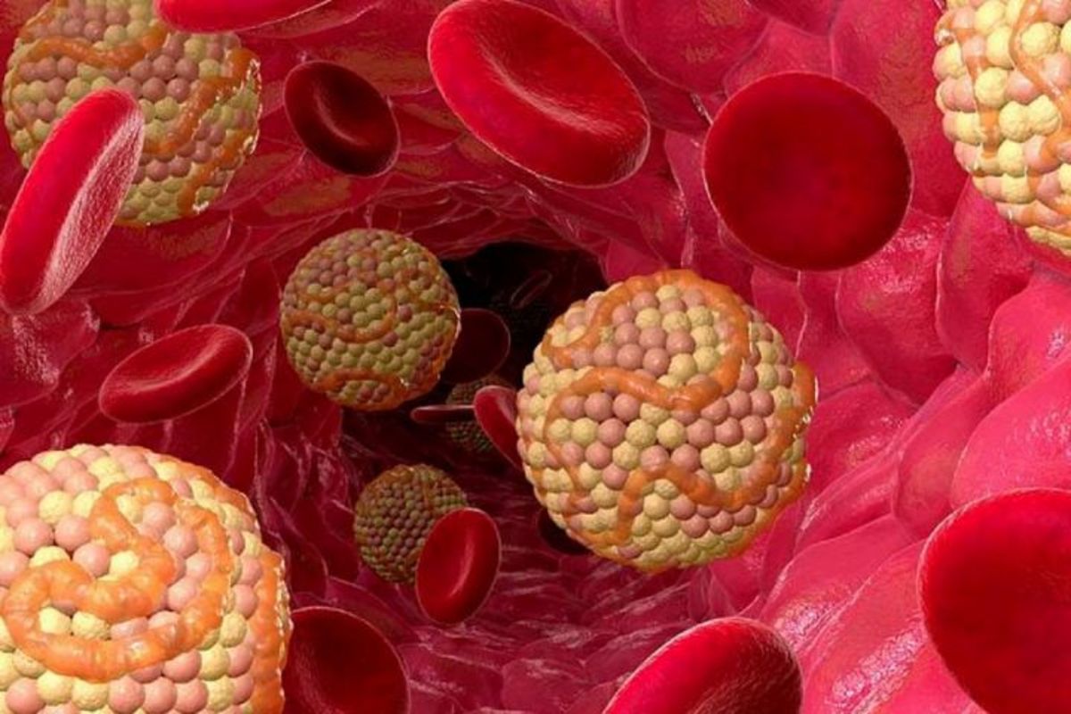چند ساعت بعد از غذا چربی جذب میشود؟