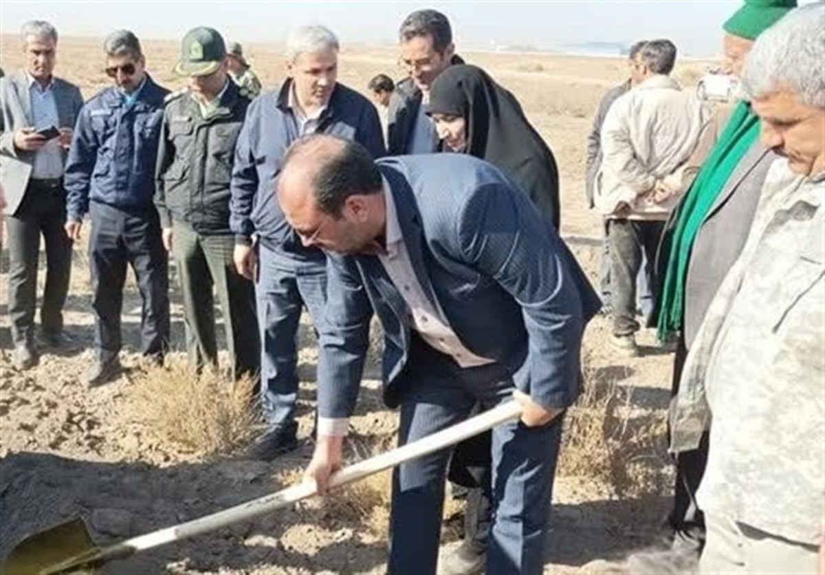 کاشت ۸.۵ میلیون اصله درخت سهم خراسان رضوی در سال جاری است